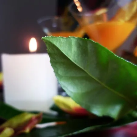 L'affaccio Panzió Matera