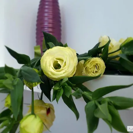 Bed & Breakfast L'affaccio Matera