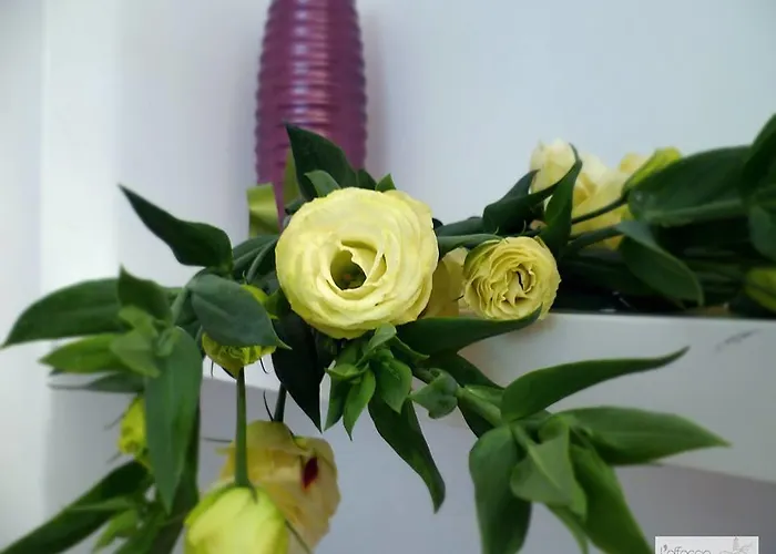 Bed & Breakfast L'affaccio Matera